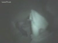 [ Animal XXX and Beastialty Sex ] guy drilled by horse